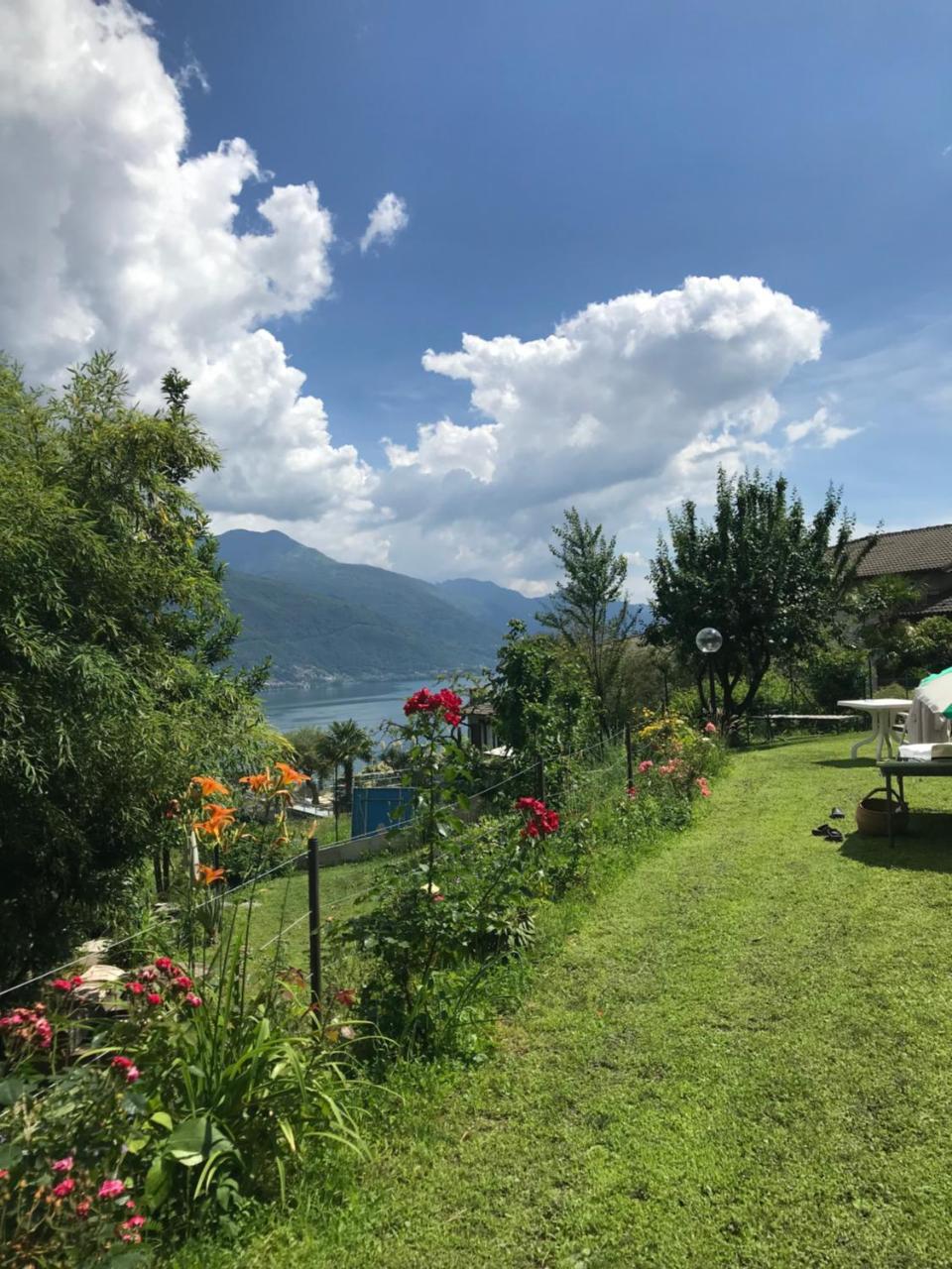 Bed And Breakfast Studios Alto Lago Di Como กราเวโดนา ภายนอก รูปภาพ